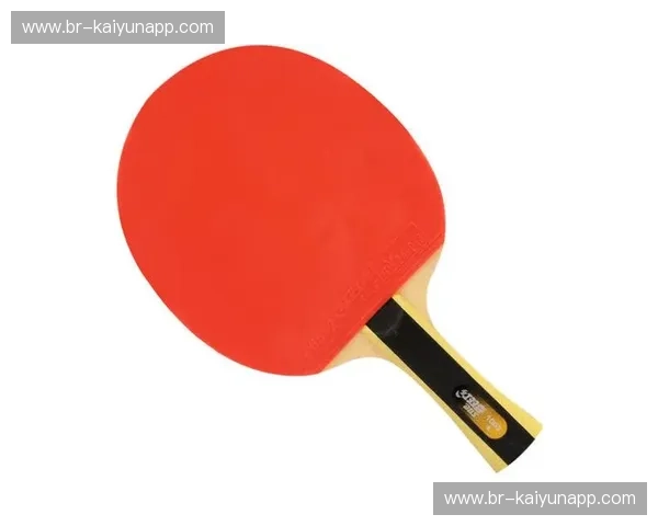 乒乓球胶皮评测：从场景出发的选购与使用指南